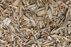 biomass boilers Tremeirchion